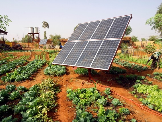 energia solar agricultura