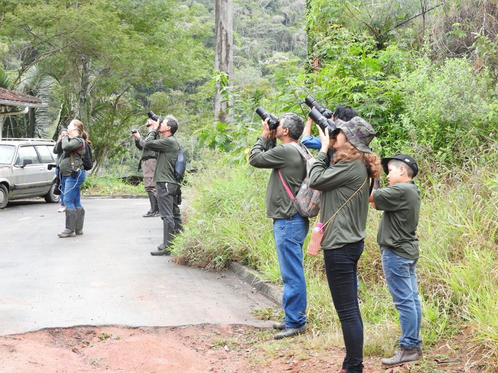 amoaves observa passaros em domingos martins 2