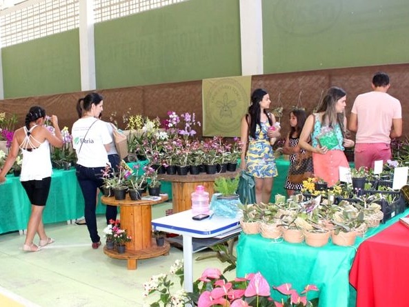 exposicao de orquideas mf 2