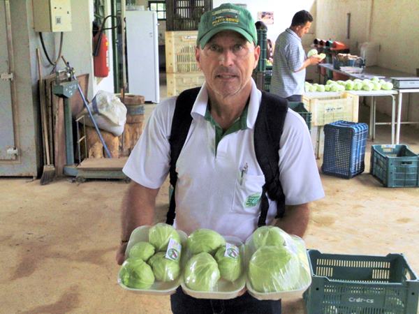 Unidade de Agroecologia do Incaper em Domingos Martins desenvolve tecnologia inedita para producao de minirepolhos 2