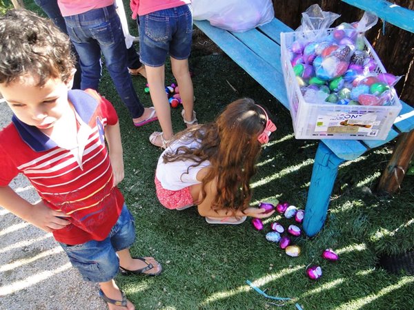 Mais de 500 ovos na brincadeira da Caca aos Ovos em Domingos Martins no domingo 1 2