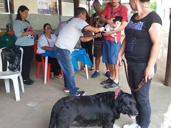 Hoje 22 e o Dia da vacinacao de cães e gatos em Marechal Floriano 2