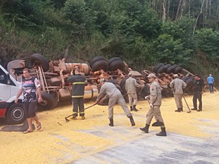 Carreta transportando carga de milho tomba na BR 262