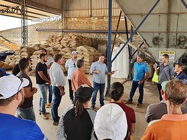 Conilon capixaba de qualidade e exemplo para cafeicultores de Rondonia02