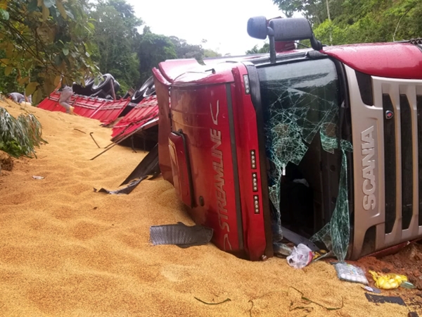 Carreta tomba e deixa carga de eucalipto espalhada pela pista na BR-251 -  Portal MPA