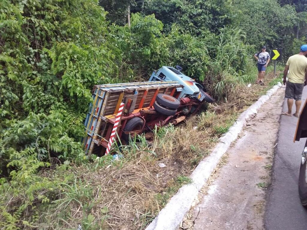 Caminhao-que-tombou-no-meio-de-um-matagal-as-margens-da-BR-262-foi-removido-1