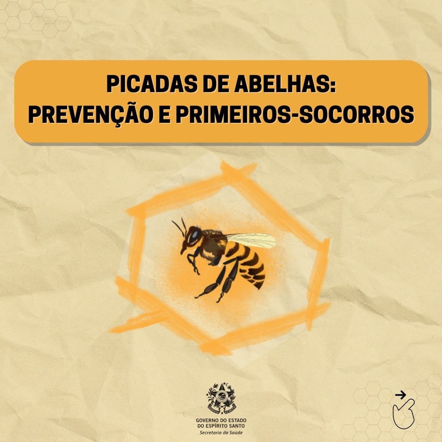 Picada-de-abelhas-Espirito-Santo-registra-maior-numero-de-obito-dos-ultimos-seis-anos