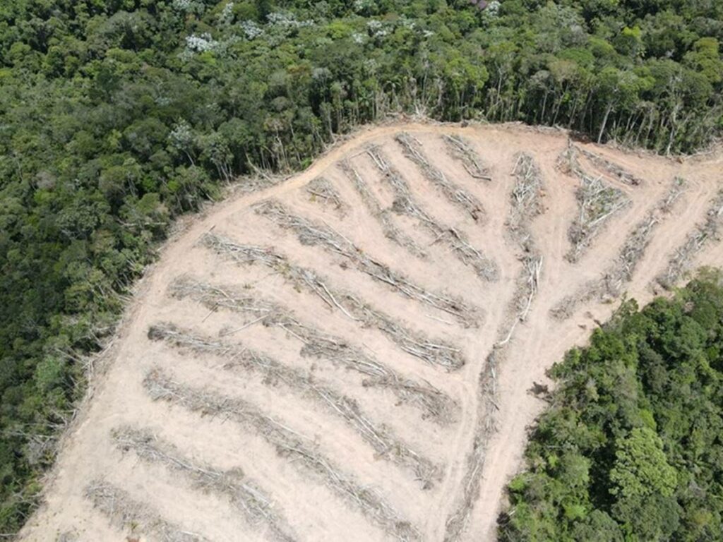 Idaf-flagra-mais-de-cinco-hectares-de-vegetacao-destruidos-em-Santa-Maria-de-Jetiba