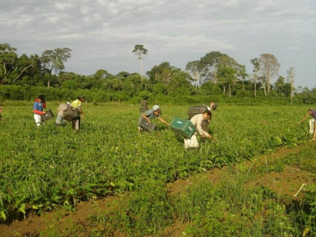 Governo-Federal-relanca-Programa-de-Aquisicao-de-Alimentos