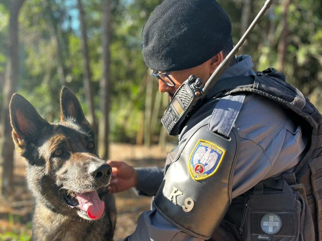 k9