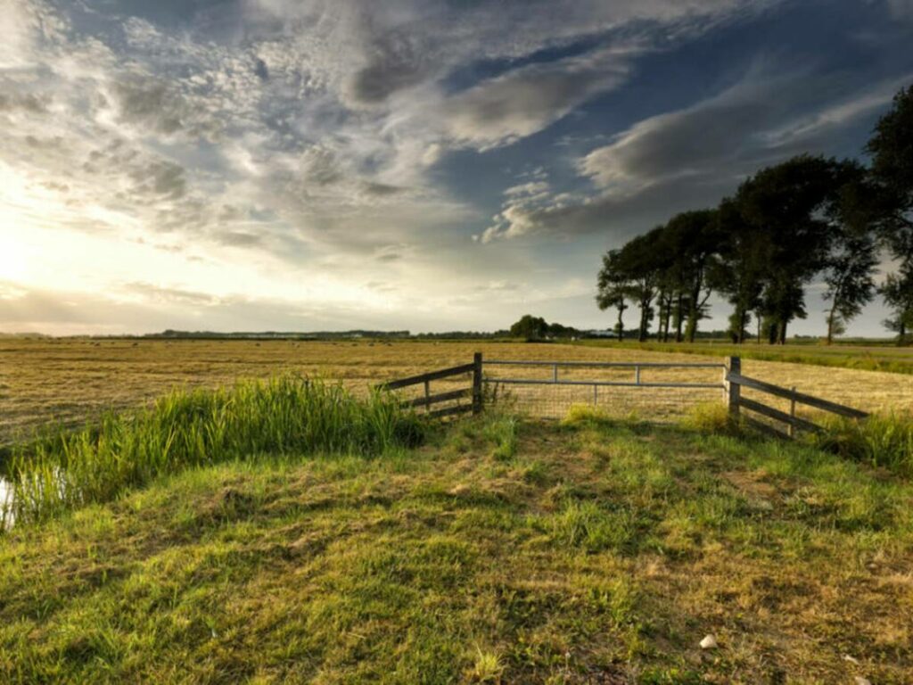 FAZENDA_ENVATO