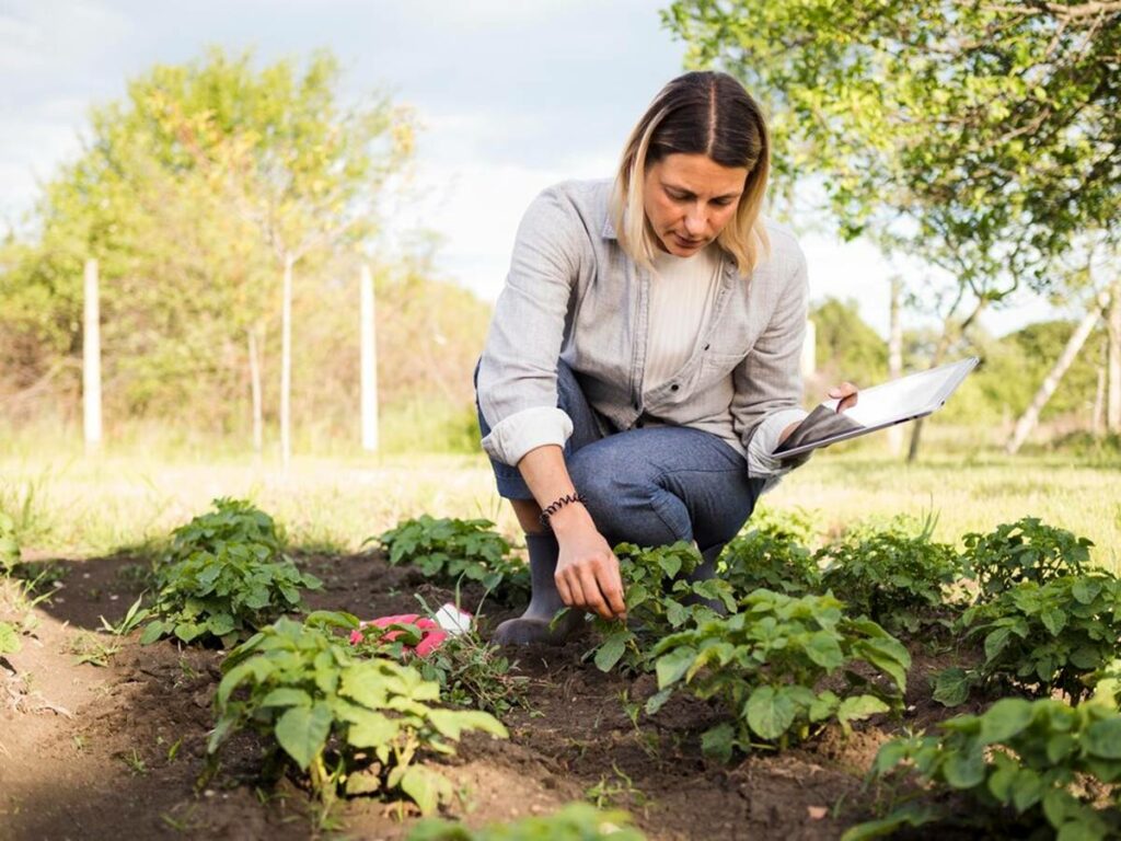 agricultura-16-11-freepik