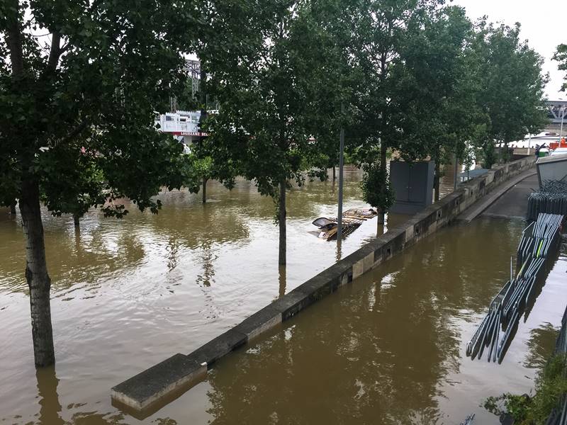 trees-covered-flood