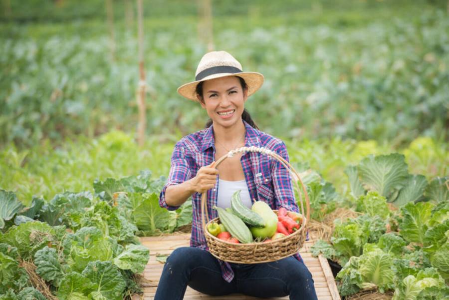 Mulher-Agricultura-feminina-rural-Freepik