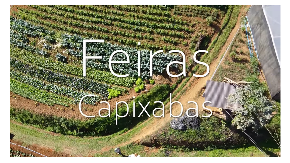 capa - feiras