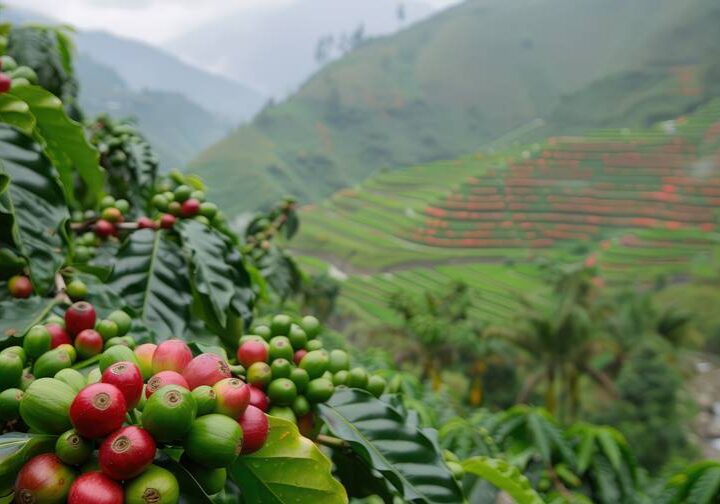 delicious-organic-coffee-still-life